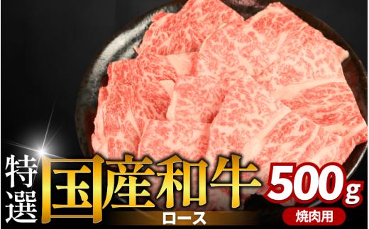 牛肉 特選 ロース 焼肉用 500g えらべる容量 焼肉 国産和牛 和牛 焼き肉 赤身 にく ぎゅう うし バーベキュー BBQ やきにく お祝い イベント パーティー おかず おつまみ 贈答 プレゼント 徳島県 吉野川市