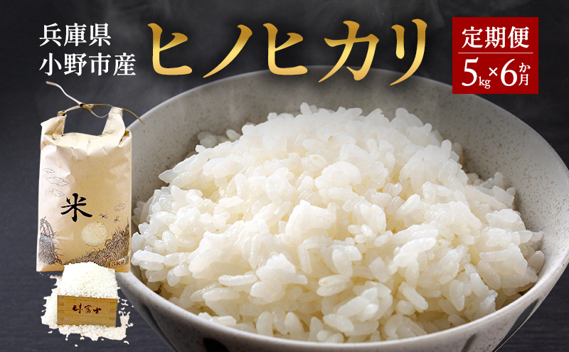 【お米の定期便】兵庫県小野市産 ヒノヒカリ 5kg（精米）6か月連続でお届け　米 コメ こめ ごはん 白米 精米 ひのひかり 定期 6か月兵庫県 小野市