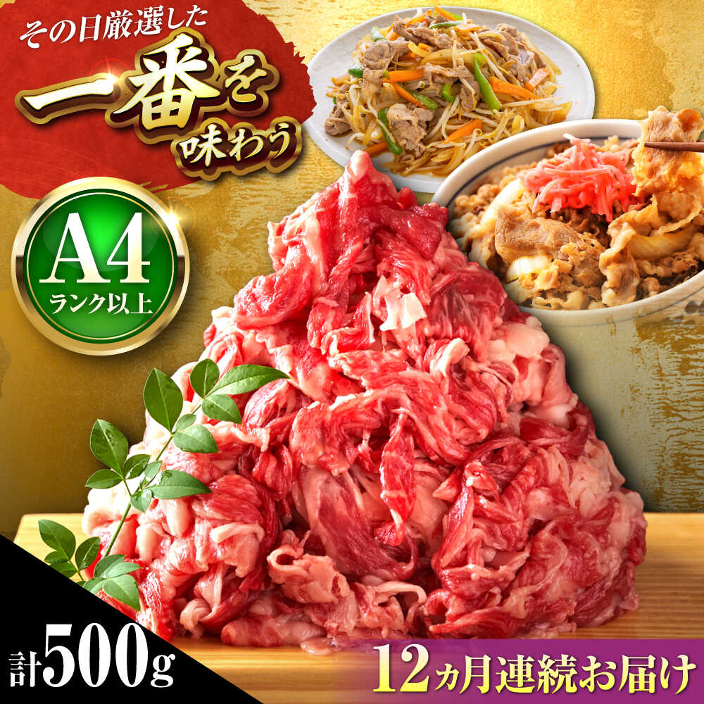【ふるさと納税】【全12回定期便】【A4〜A5】博多和牛 切り落とし 500g 吉富町/株式会社MEAT PLUS[BGAB100] お肉 肉 牛 牛肉 和牛 黒毛和牛 切り落とし肉 きりおとし 国産牛 国産 炒め物 すき焼き しゃぶしゃぶ 牛丼 小分け 赤身 冷凍 福岡 ギフト 肉ギフト 人気 おすすめ