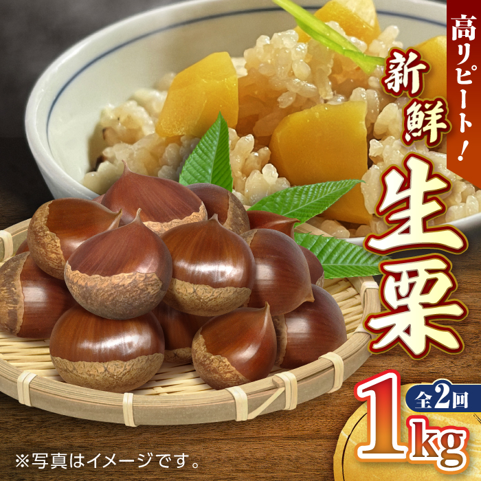 【9月より順次発送】【全2回定期便】新鮮 生栗 1kg【「のん気・元気」百姓家】 [YAL020]