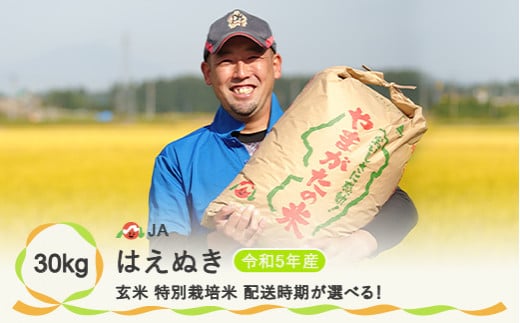 玄米 特別栽培米はえぬき30kg