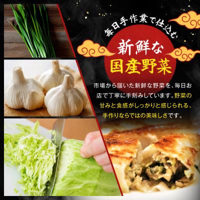 ふるさと納税 京都市 【マルシン飯店】京都・超行列店の生餃子20個入り|京都東山 看板餃子 |  | 03