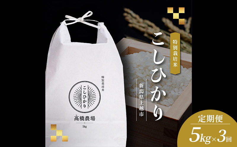 （定期便） 令和7年 新潟県 上越市産 コシヒカリ 5kg×3回配送 ご飯 おにぎり 送料無料