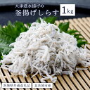 【ふるさと納税】釜揚げ しらす 1kg 大津港 水揚げ（茨城県共通返礼品・北茨城市産）