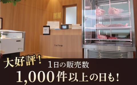 【全6回定期便】佐賀牛 サーロイン ステーキ 600g（300g×2枚）【山下牛舎】 [HAD067]