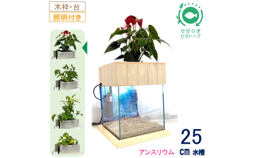 せせらぎビオトープ　25cm型照明+木枠台セット（アンスリウム）