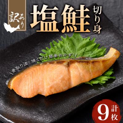 ふるさと納税 曽於市 【訳あり】骨取り塩鮭切身(9枚/約540g)