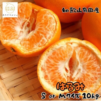 ≪先行予約・2027年1月下旬～発送≫和歌山有田の濃厚はるみ 約10kg (M又はSサイズ)【1740475】