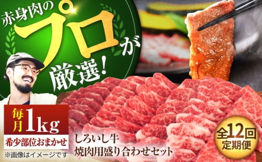 【牧場直送】【12回定期便】佐賀県産しろいし牛 焼肉用 盛り合わせ セット（希少部位）各回1kg【佐賀セントラル牧場】佐賀県産 肉 お肉 牛肉 焼き肉 BBQ バーベキュー モモ カタ 肩 バラ 九州 佐賀県 白石町  白石 [IAH048]