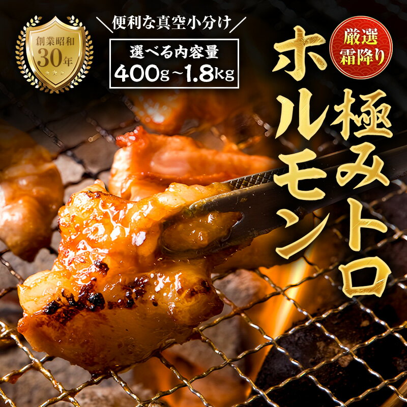 【ふるさと納税】霜降り 極みトロホルモン 400g〜1.8kg 秘伝のタレ付き | 国産 極トロホルモン 霜降り ホルモン 冷凍 真空パック 家庭用 ホルモンうどん　八島丹山 京都 舞鶴