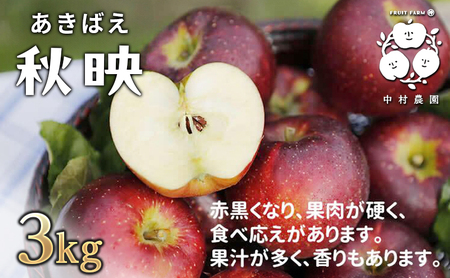 2026年産 りんご 3kg 樹上熟成 秋映 林檎 リンゴ 果物 くだもの フルーツ 旬の果物 旬のフルーツ 季節の果物 季節のフルーツ 美味しい果物 長野県産 長野県産りんご 信州 長野 長野県 長野市