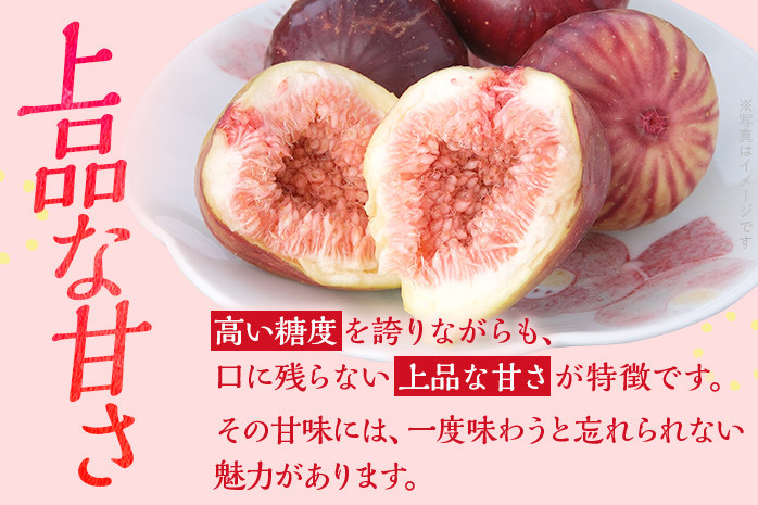 博多とよみつひめ 1,000g（４パック）【8月～10月に発送予定】 CD23