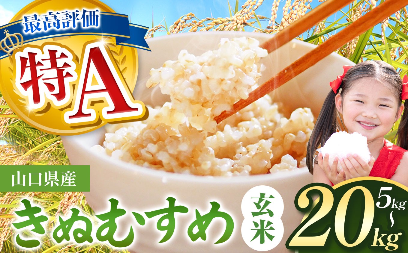 
                  令和8年度産 きぬむすめ 玄米 5kg～20kg 村上農園 先行予約 ＜ 2026年10月中旬より11月末まで順次発送 ＞ ｜ 選べる 容量 米 精米 玄米 雑穀 お米 コメ 単一米 きぬむすめ 絹娘  山口 美祢 秋吉台 5kg 10kg 20kg
                