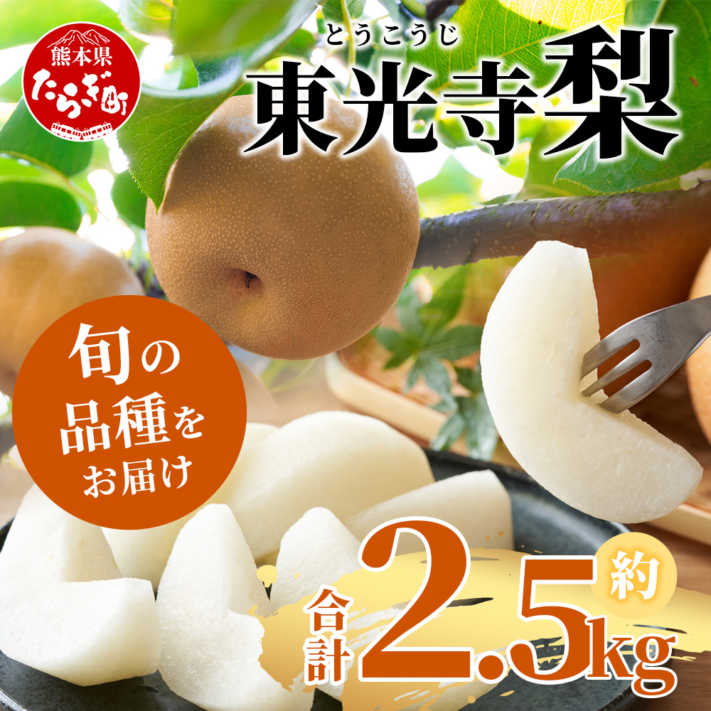 【2025年7月下旬～発送分】東光寺 梨 2.5kg (5～7玉) 1箱 【 完熟 フルーツ 果物 旬 夏 梨 幸水 豊水 秋月 新高 新興 】
