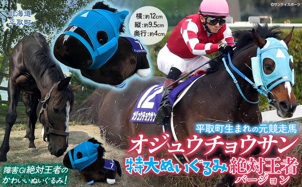 
                  【オジュウチョウサン】特大ぬいぐるみ　絶対王者バージョン【ふるさと納税 人気 おすすめ ランキング 馬 競馬 競走馬 オジュウチョウサン グッズ 北海道 平取町 びらとり 送料無料】 BRTV007
                