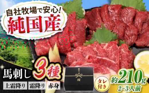 『純国産』熊本の味 馬刺し お試し 3種 セット 計約210g（2〜3人前）上霜降り 霜降り 赤身 タレ付【有限会社 九州食肉産業】 [AYCN002]