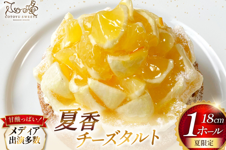 柑橘 スイーツ 夏香 チーズ タルト 1ホール 18cm [心優-Cotoyu Sweets- 長崎県 平戸市 hr42bjo490241]