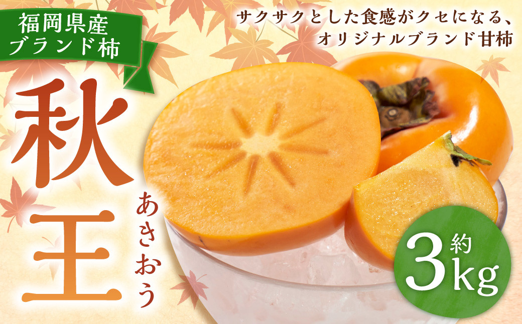 
                  福岡県産ブランド柿・秋王 約3kg （8-12玉） 柿 カキ かき 果物 くだもの フルーツ 冷蔵 国産 岡垣町 【2026年10月下旬～11月下旬発送予定】
                