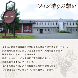 赤白ワイン飲み比べ 2本セット 丹波ワインセット ワインセット2本 ワインセット赤白 京都ワインセット 国内醸造ワインセット