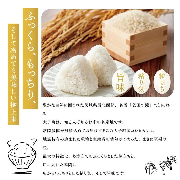 令和7年産　常陸農協の大子町産コシヒカリ5kg｜茨城県 大子町 お米 白米 精米 こしひかり ふっくら もっちり コンテスト受賞（AH012）