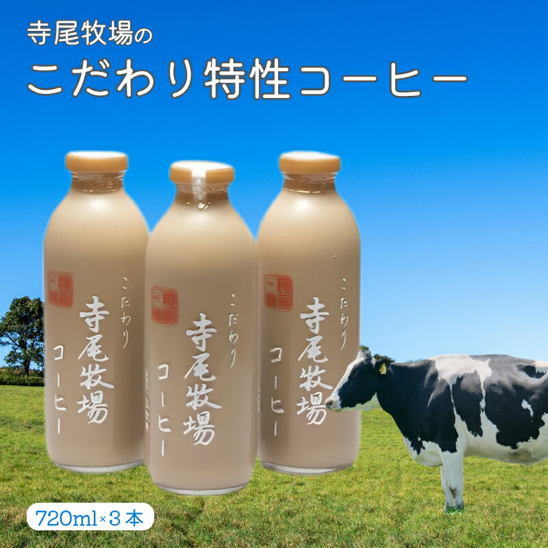 【ふるさと納税】寺尾牧場のこだわり特製コーヒー3本セット（720ml×3本）［準備でき次第、順次発送］［TM156］
