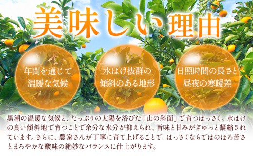【ご家庭用】八朔 サイズ不選別 約1kg《2027年1月末-3月上旬出荷予定》和歌山県 日高町 柑橘 はっさく ハッサク 果物 フルーツ 訳あり