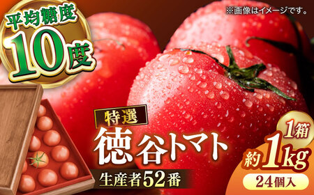 【先行予約】プレミアム徳谷トマト約1kg 24個入り 生産者52番 (ウォールナットケース入り) 〈2027年1月中旬～2027年5月下旬頃発送〉/ フルーツトマト とまと フルーツ 果物 季節もの 【フルーツショップオザキ】[ATAH001]