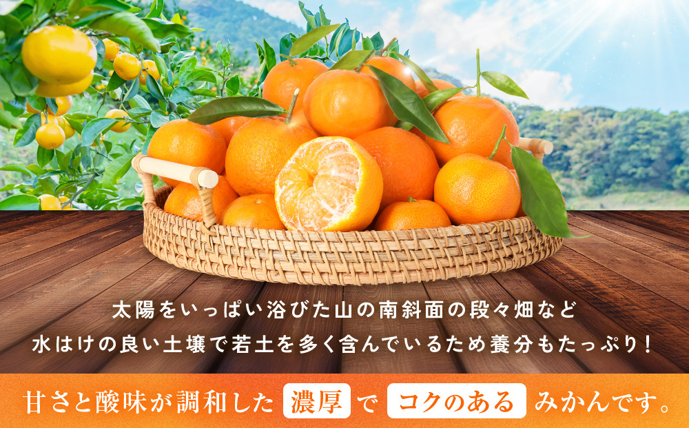 有田のブランド「賢みかん」約10kg サイズ混合 ご家庭用［2026年11月中旬頃より順次発送］
