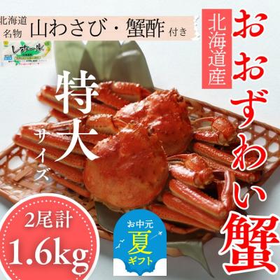 ふるさと納税 紋別市 【お中元】【北海道産】オオズワイガニ姿　特大サイズ2尾計1.6kg | 蟹酢・山わさび付　かに　おお