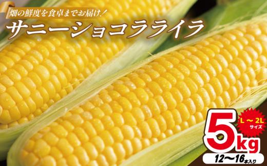 とうもろこし サニーショコラライラ 5kg 12～16本 極甘 スイートコーン コーン 生食用 野菜 やさい サラダ スープ コーンスープ 生 BBQ アウトドア 旬 朝採り 人気 お取り寄せ 先行予約 産地直送 期間限定 おすすめ 2026年5月～6月順次発送予定