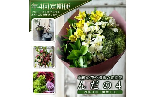 【4回定期便】「季節の花や植物の定期便 んだの４」 SL0220