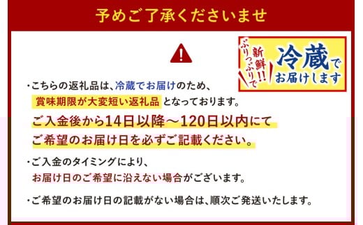 【ギフト用】豪華とらふぐ三昧セット(刺身・鍋2～3人前)