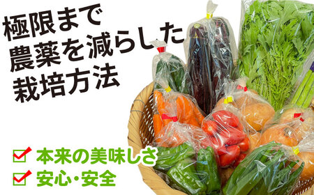 【12回定期便】野菜定期便 お米と季節のやさい 8品目 野菜 定期便 / ながさき南部 [SBW015]