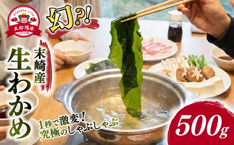 
                  【2ヶ月間！期間限定】 生わかめ 500g 新物 期間限定 2026年1月～発送予定 わかめ 早採りわかめ 生わかめ 三陸 小分け 若芽 湯通し 海藻 海産物 味噌汁 ごはん 夕飯 おかず しゃぶしゃぶ サラダ お刺身 刺し身 刺身 末崎 ニュース 放送 番組 テレビ てれび TV 岩手県 国産 大船渡
                