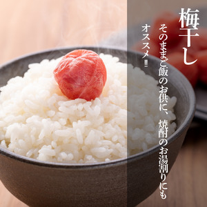 小梅干し 500g 梅肉チューブ 3本 2025年11月～発送予定 梅干