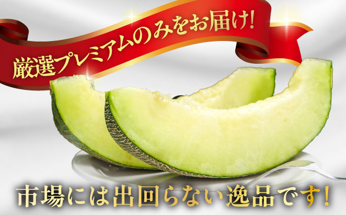 グリーンメロン 1玉 / メロン めろん フルーツ 果物 / 南島原市 / うえだメロン園 [SAD006]