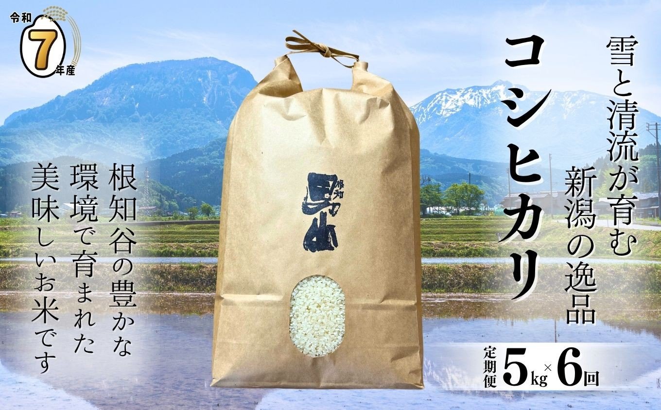 
            【選べる初回発送時期】令和7年産新米予約【定期便】新潟県糸魚川産コシヒカリ 5kg×6ヶ月 計30kg 2025年産 根知男山の酒蔵が作る自慢の逸品【米 お米 白米 こめ コメ ご飯 ライス ふるさと納税米 ブランド米 こしひかり 新潟県 糸魚川 2025年 食品 人気 おすすめ 5キロ 渡辺酒造店 減農薬 6回 6か月 毎月お届け】
          