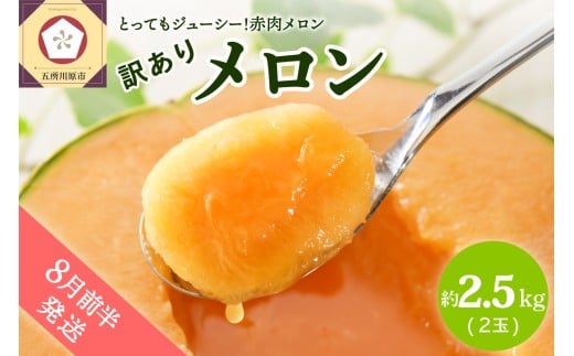 【2026年8月前半発送】【訳あり】メロン2.5kg程度(赤肉2玉)津軽産