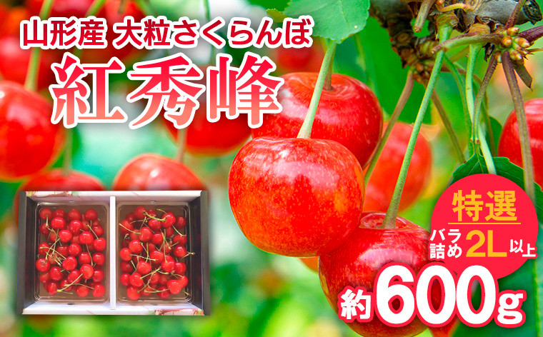 
            山形産 大粒さくらんぼ 紅秀峰 特選 バラ詰め 2L以上 約600g 【令和7年産先行予約】FS24-638くだもの 果物 フルーツ 山形 山形県 山形市 2025年産
          