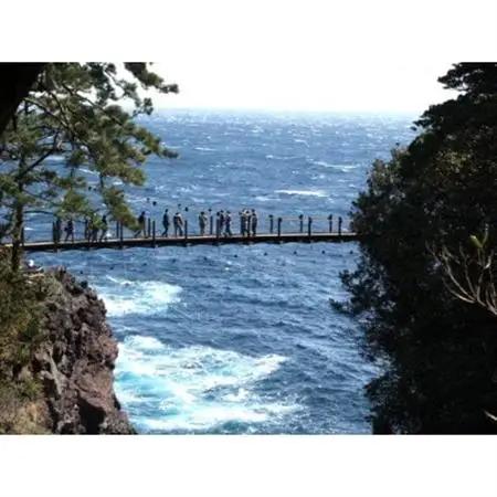 【伊豆高原】＼温泉・宿泊・体験に!/2,000円パス5枚セット_旅行券・チケット   _【1539285】