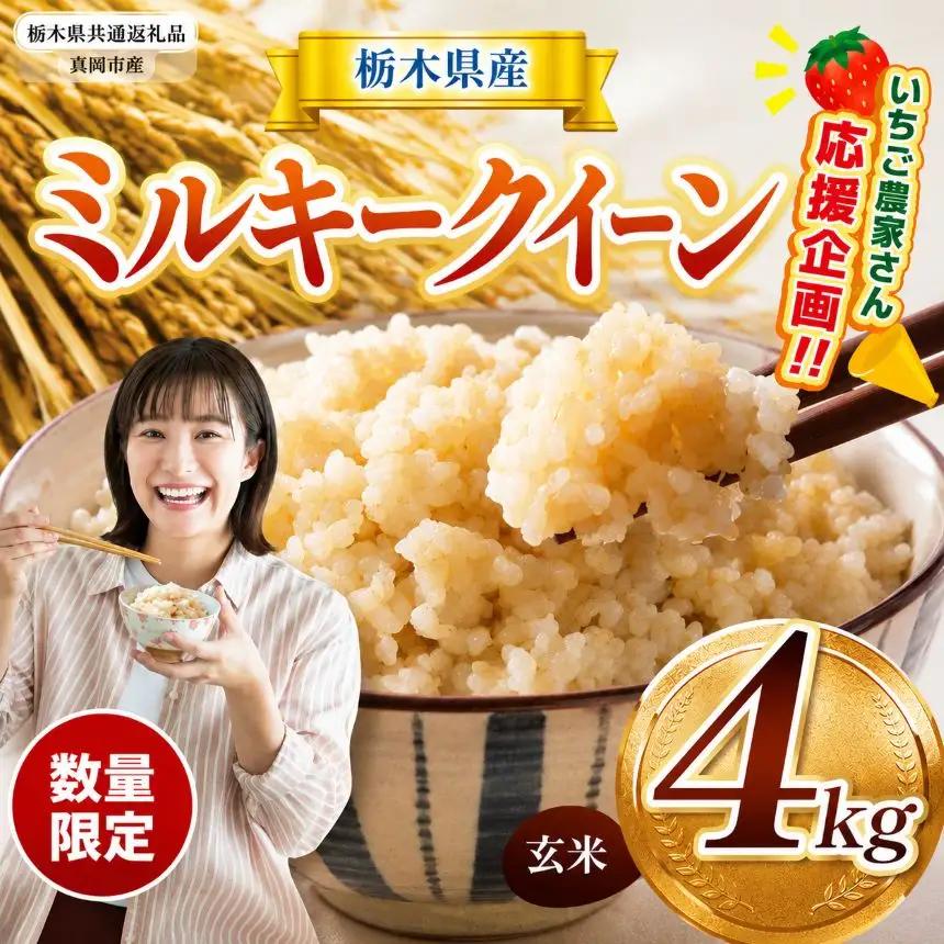 【令和8年度】先行予約 栃木県産コシヒカリ 4kg | 【栃木県共通返礼品】数量限定こしひかり  玄米 米 ごはん 玄米真空パック ふるさと納税 那珂川町 栃木県