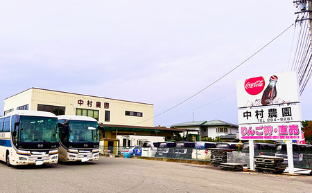 【2025年長野県長野市産】冷蔵シャインマスカット　1.3kg以上