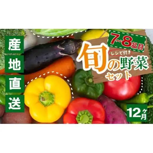 野菜詰め合わせ 定期便 7品~8品 ｜ 野菜詰め合わせ 野菜セット 野菜定期便 野菜定期便 野菜定期便 定期便 定期便 高知県 NPO22000