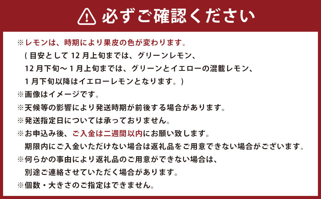 選べる発送月 青いレモンの島 レモン 約1kg 檸檬 れもん 【えひめの町（超）推し！（上島町）】（737）