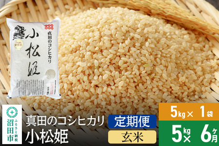 【玄米】《定期便6回》令和6年産 真田のコシヒカリ小松姫 5kg×1袋 金井農園