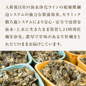 冷凍殻付き牡蠣　21個