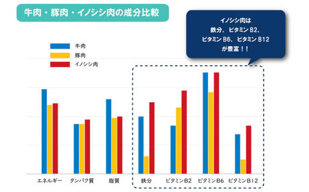 猪肉ハンバーグ750gセット（10個入り 5パック詰め合わせ）長崎県波佐見産 イノシシ肉100%使用【モッコ】[CE10]