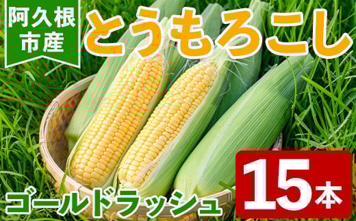 ＜先行予約受付中！2025年6月以降順次発送予定＞とうもろこし ゴールドラッシュ(15本) 国産 旬 野菜 青果 トウモロコシ 期間限定【笹原正樹】a-12-315-z