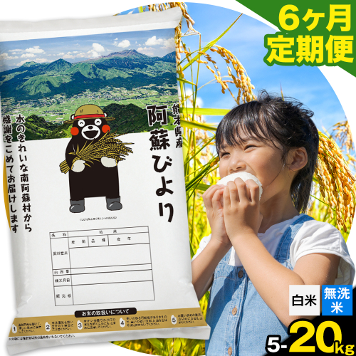【6ヶ月定期便】阿蘇びより 選べる 白米 無洗米 5kg 10kg 15kg 20kg 《お申込み月の翌月から出荷開始》 ｜訳あり 国産米 人気米 熊本県産米 お米 生活応援米