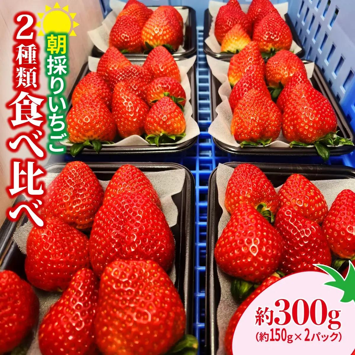 いちご2種類食べ比べ  150g×2 2027年 先行予約 いちご